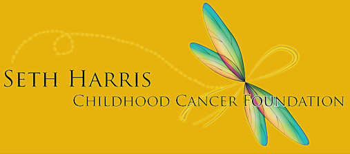 Seth Harris Childhood Cancer Foundation
